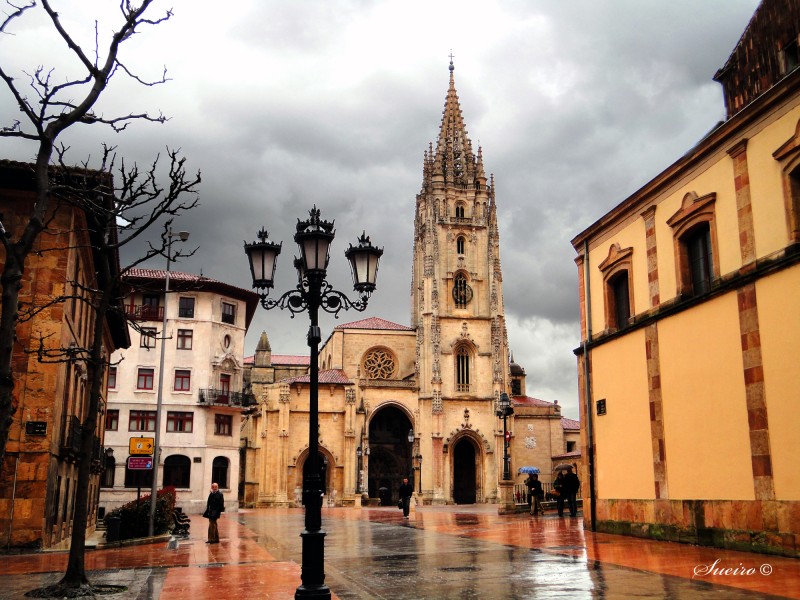 oviedo