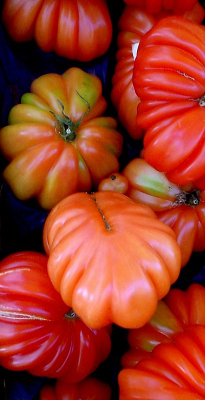 DULZURA.....DE UNOS TOMATES