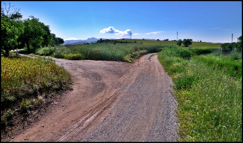 cruce de caminos