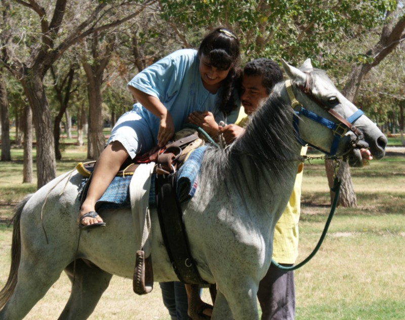 Pobre caballo