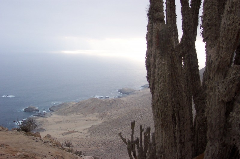 Pan de Azucar