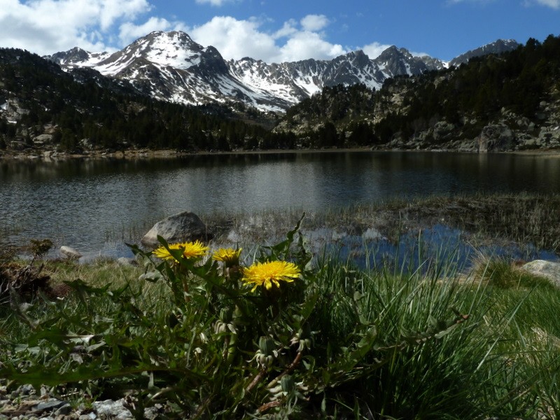 estany Primer