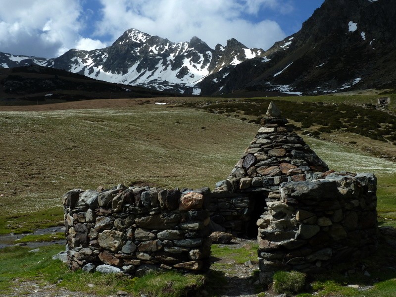 borda de pastor