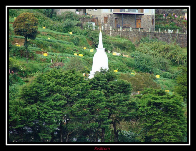 La cpula de una pagoda sobresale de la espesura