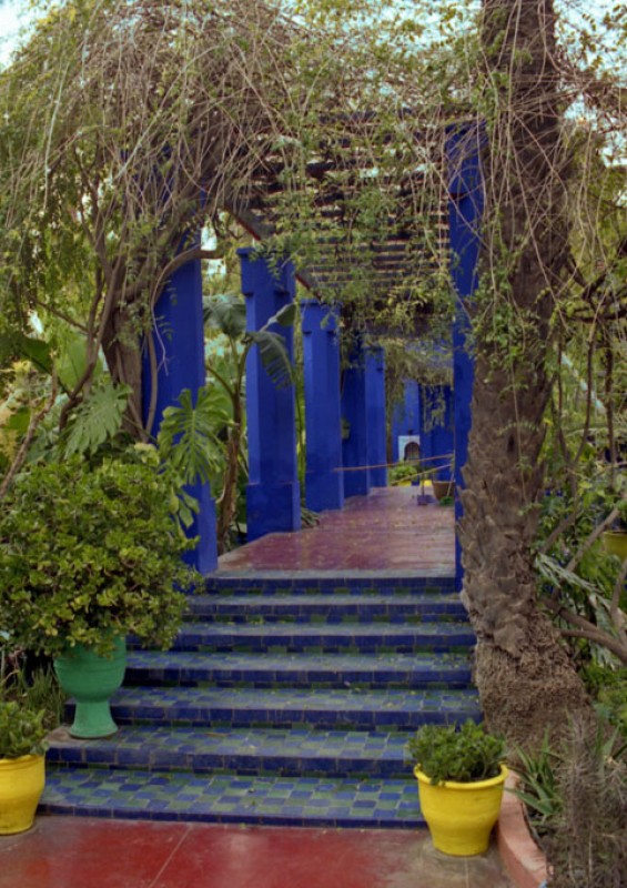 Jardines de la Majorelle.