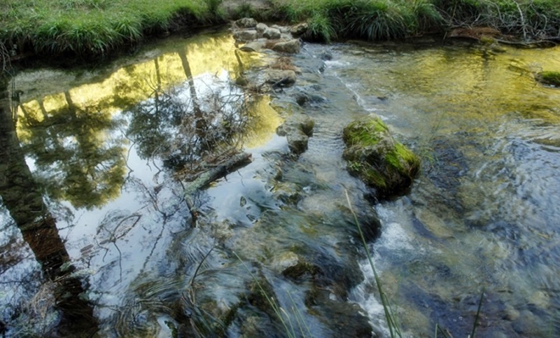 Reflejo de colores