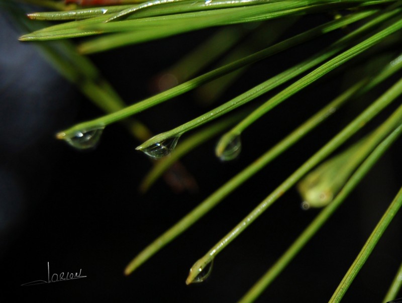 gota de agua