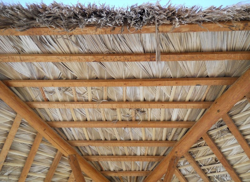 La Palapa