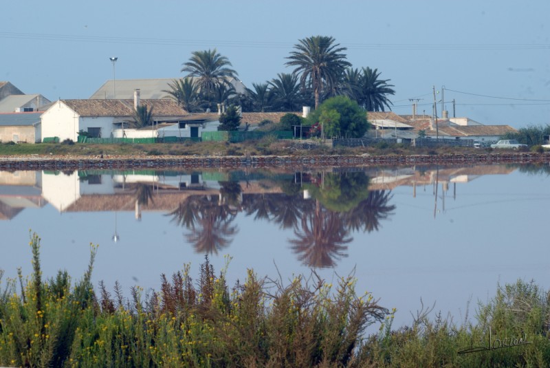 reflejos en las salinas...