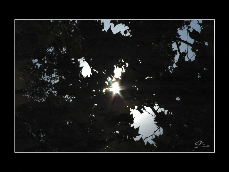 Reflejos (Fuente Negra)