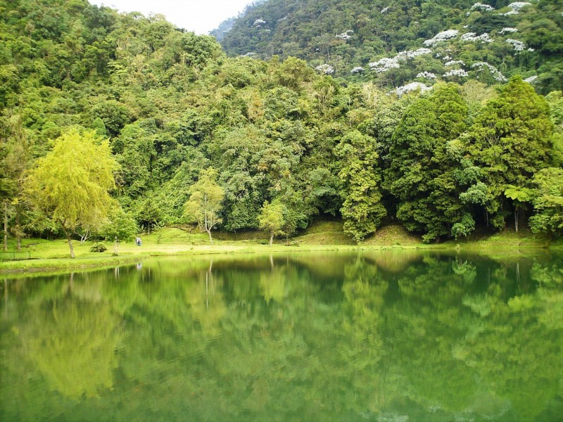 Laguna de los Cedros