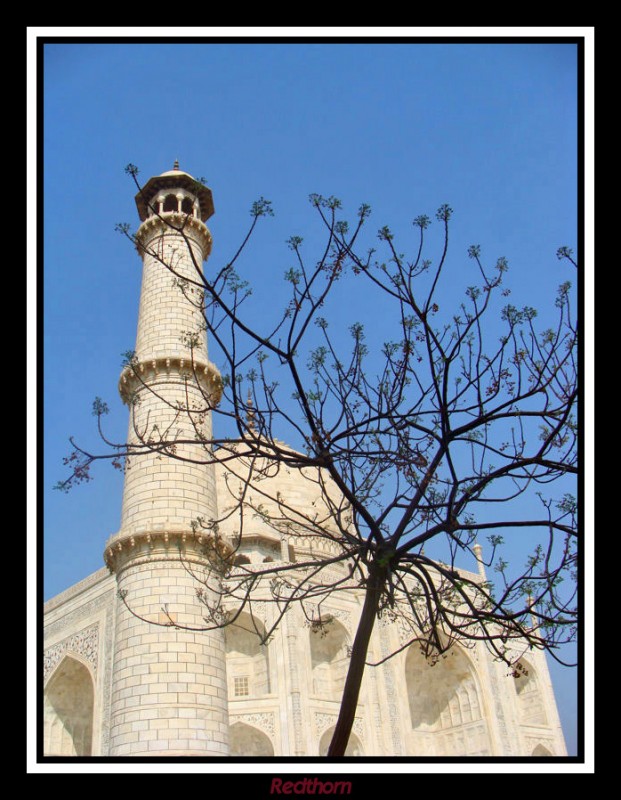 Una de las estilizadas torres del Taj Mahal