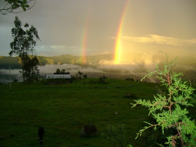 ATARDECER POROPORINO 