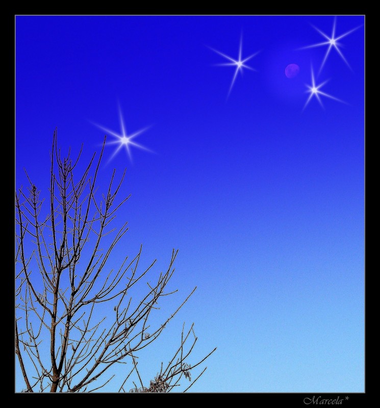 1 Luna, 4 estrellas, 1 cielo, 1 rbol y todo el invierno...