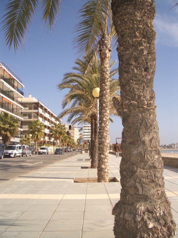 Paseo Maritimo