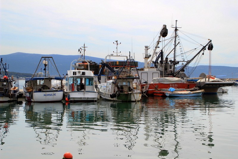 barcos de pesca