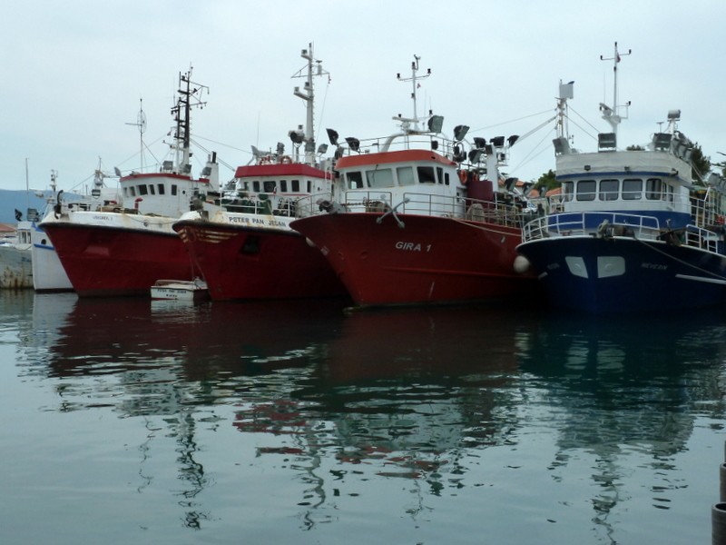 barcos de pesca
