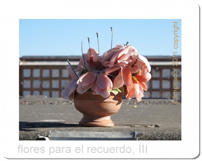 flores para el recuerdo, III