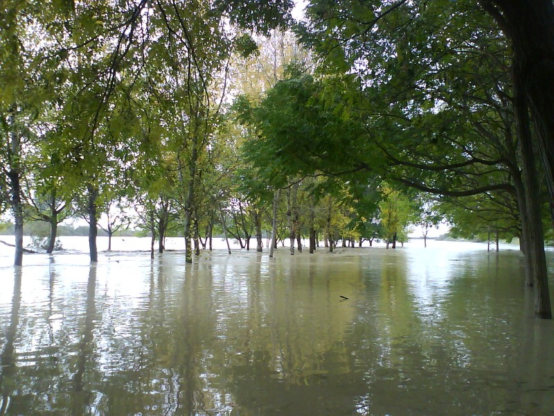 Parque acutico