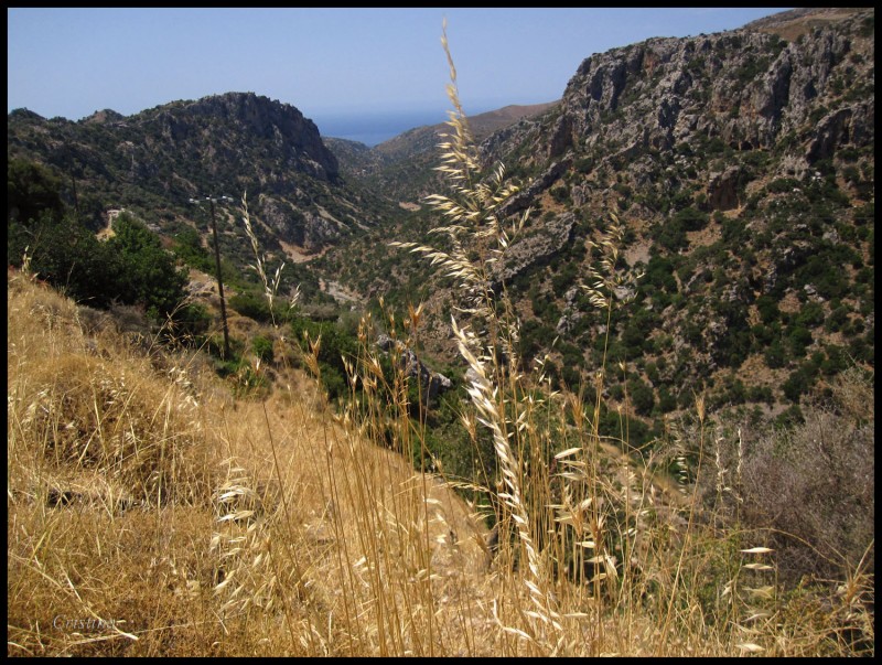 Barrancos y mar