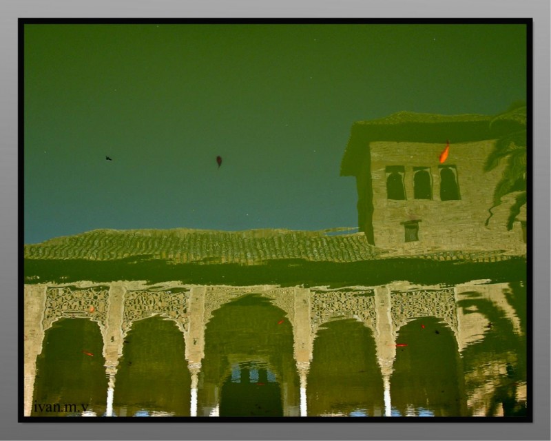 Peces por la alhambra