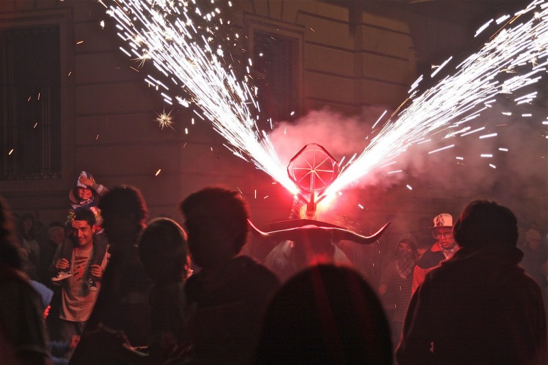 TORO DE FUEGO