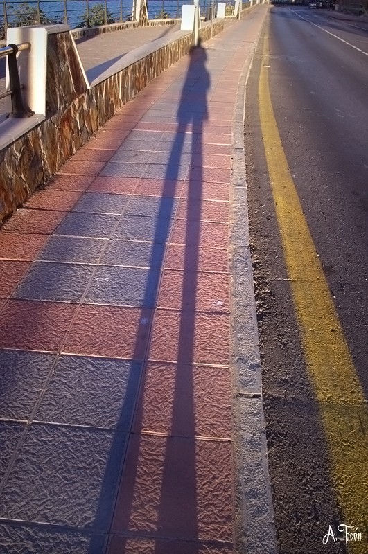 Mi sombra
