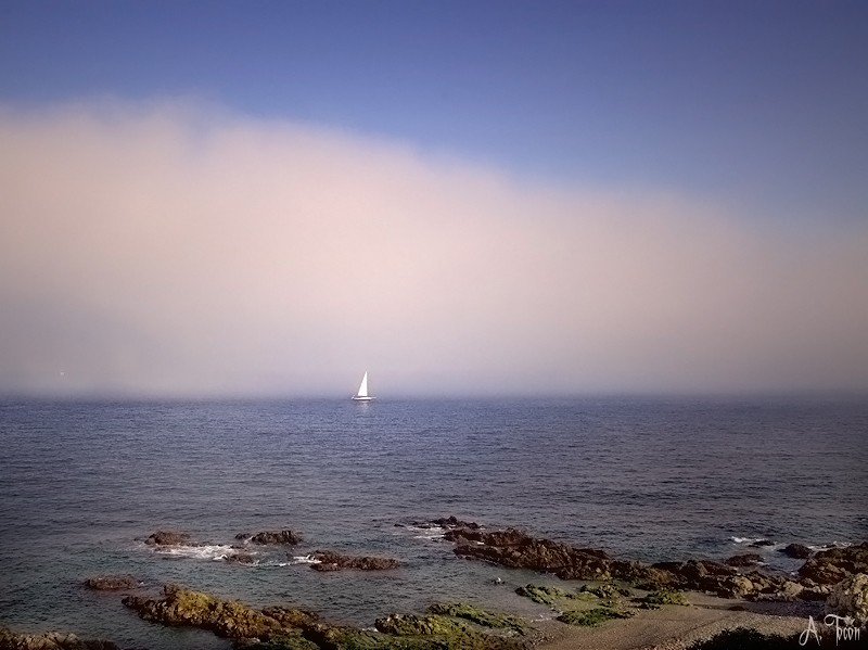 Velero y niebla