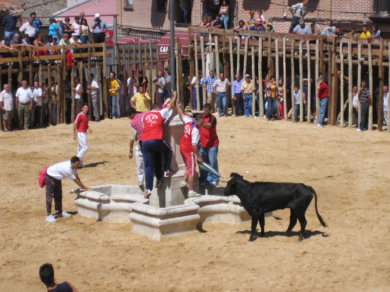 La plaza de palos