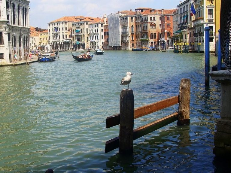 canal de Venecia