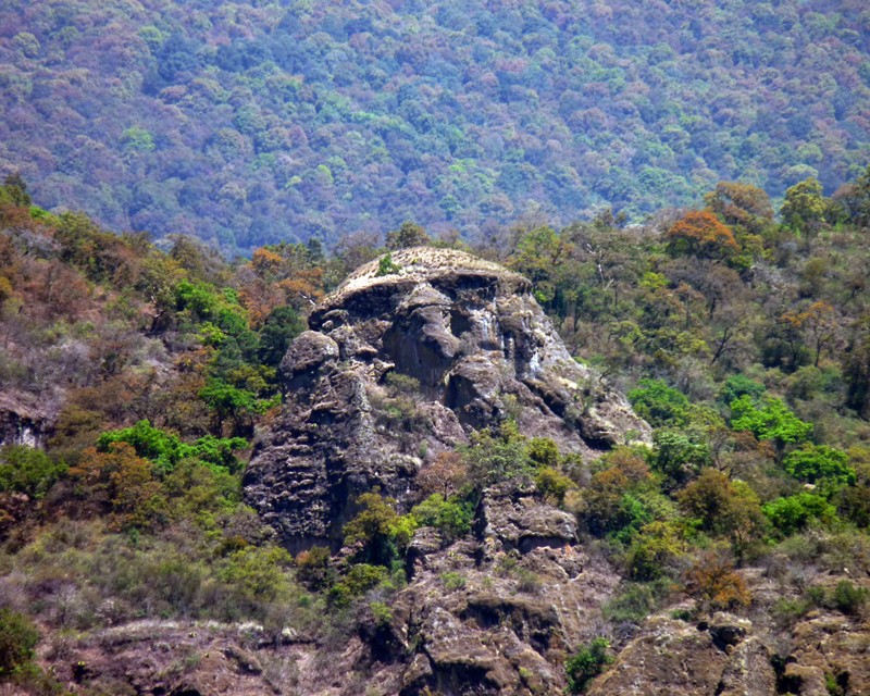 VISTA DEL TEPOZTECO