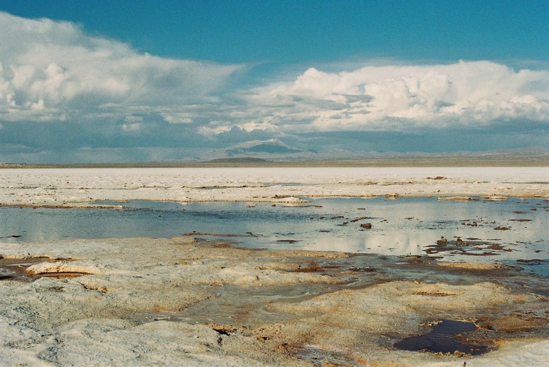 Agua en el salar