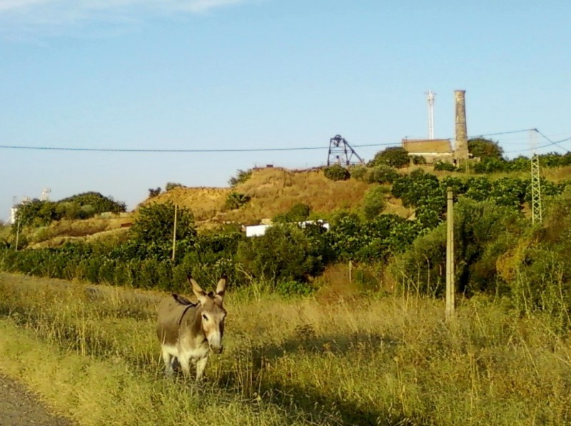 Paisaje rural