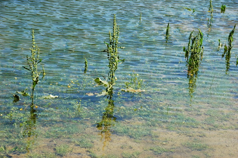 Lago de Engolasters 2