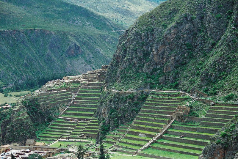 Verdes terrazas