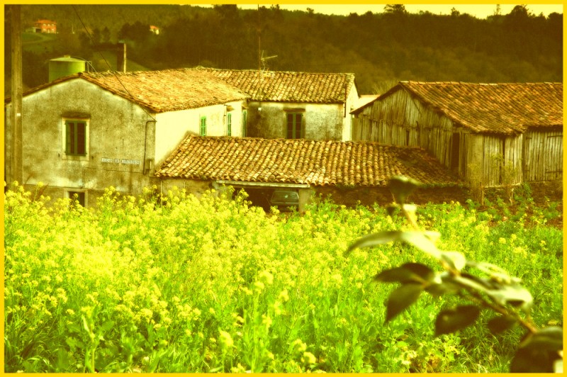 galicia antigua