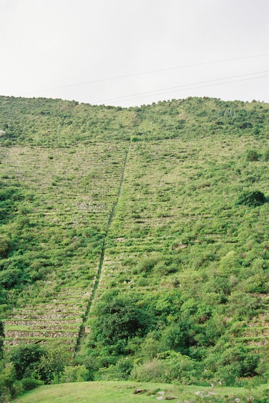 Infinitas Terrazas