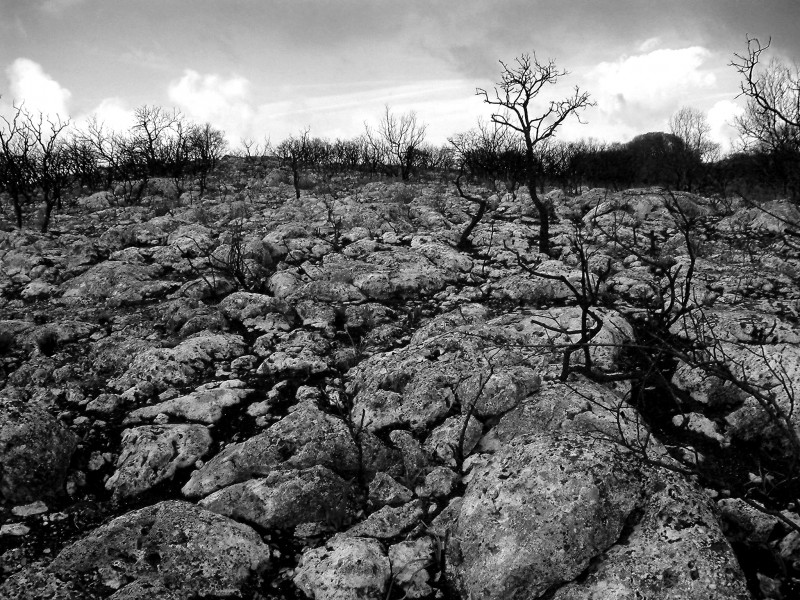 Sierra de la Camorra