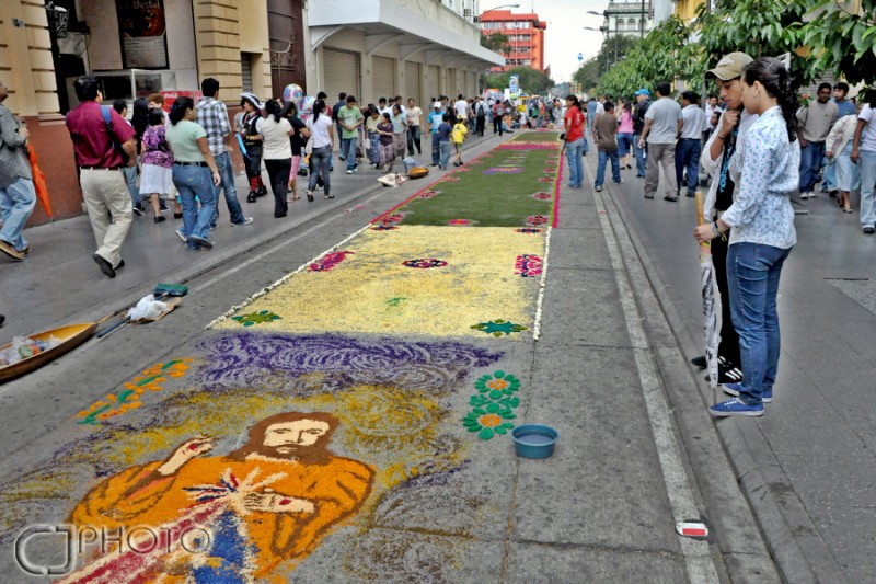 ALfombra gigante...