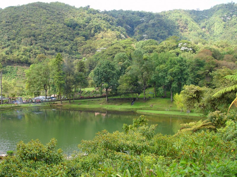 laguna de los cedros