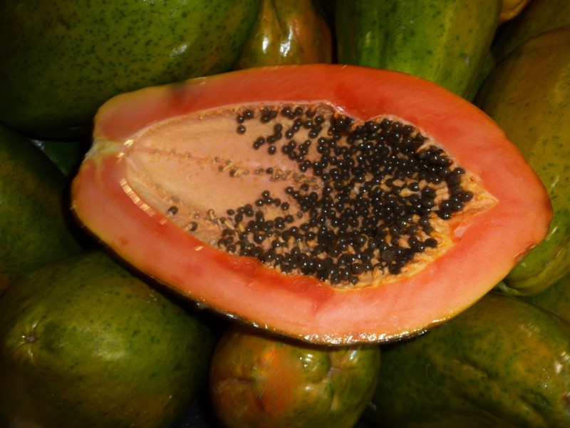 Papaya