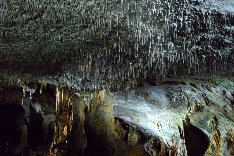 cuevas de Postojna