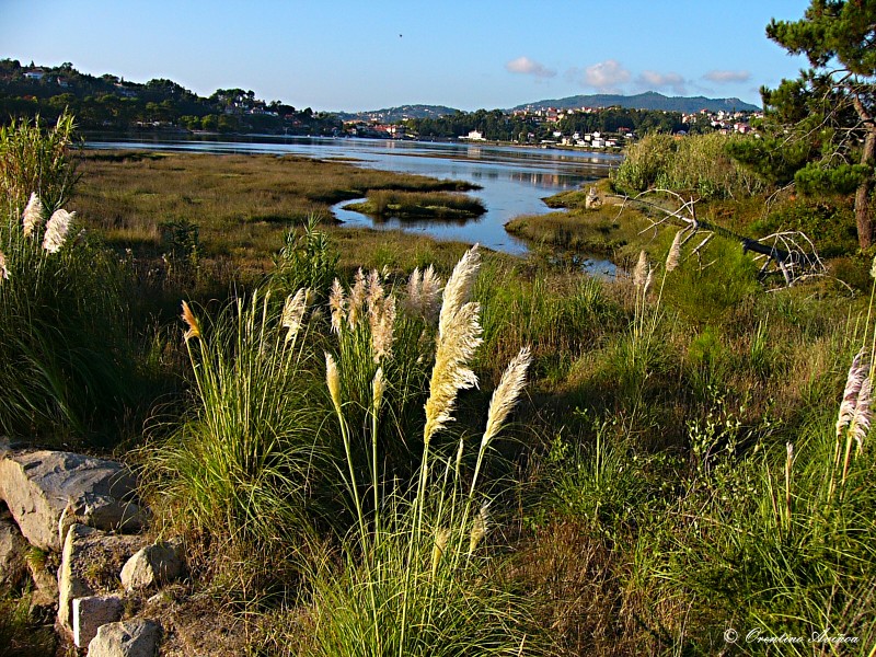 Paisaje torcido