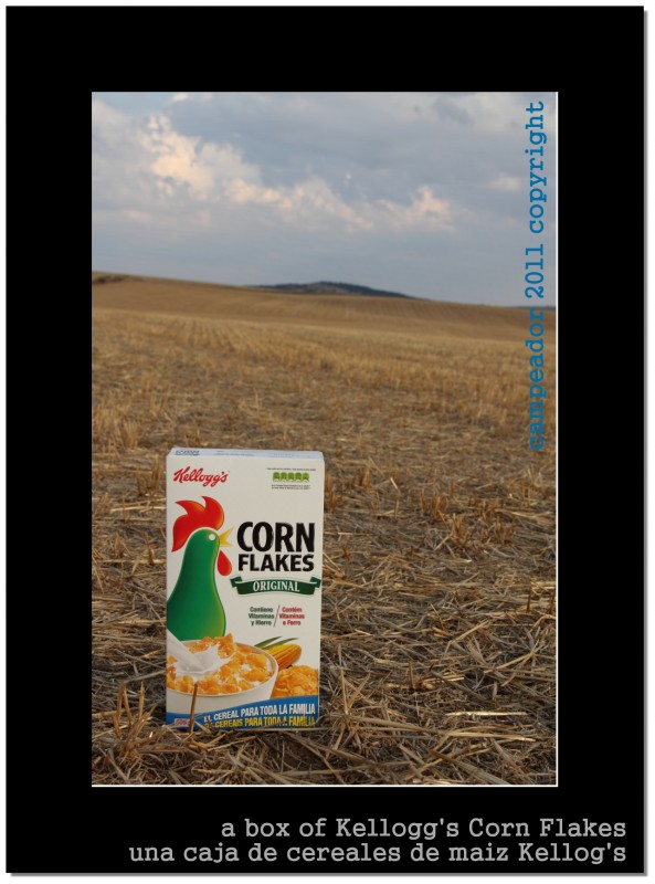 Una caja de cereales de maiz Kellogg\'s - A box of Kellogg\'s corn flakes