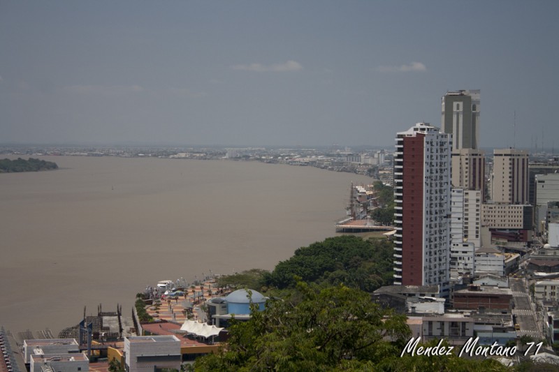 El Rio Guayas