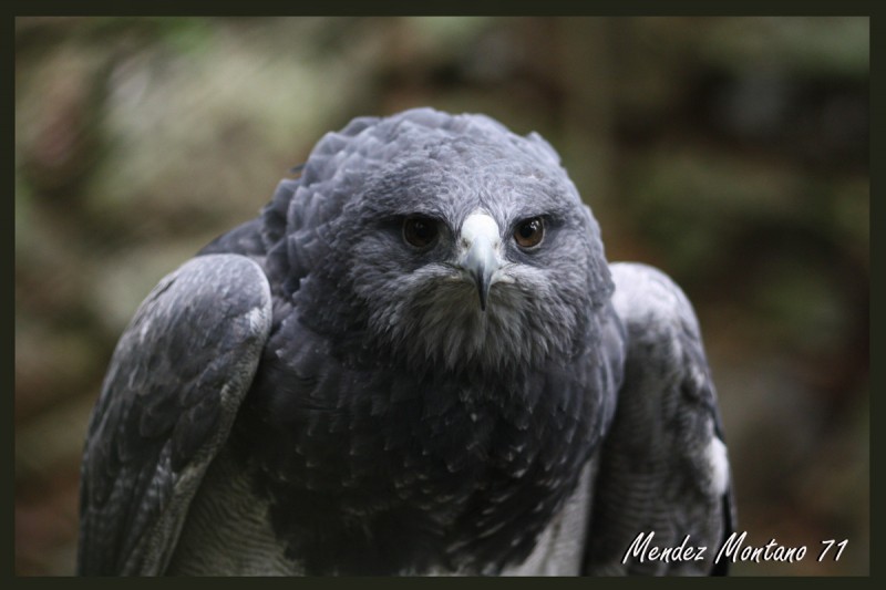 Una Mirada