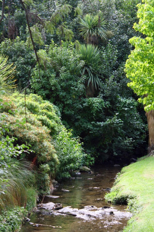 Riachuelo en un parque de Queenstown