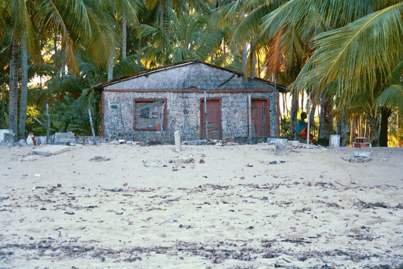 Casa y Palmeras