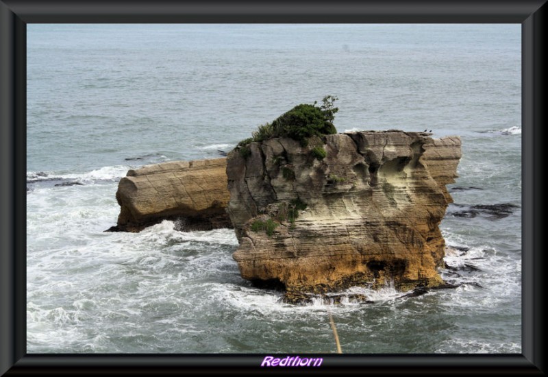 Buen refugio para las aves