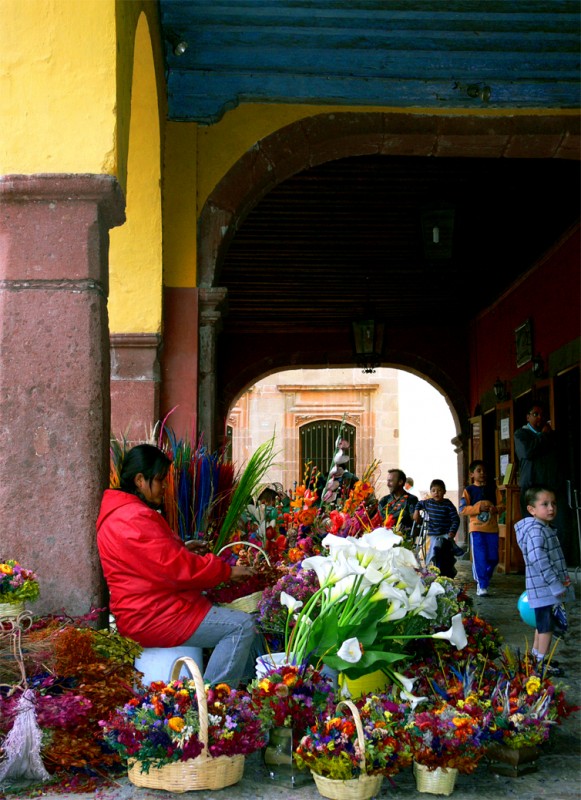 Vendedora de flores